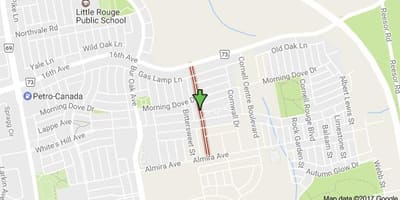 Mapa Black creek drive Toronto