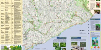 Mapa parky a pěší stezky Toronto East