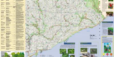 Mapa parky a pěší stezky Toronto East