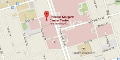 Mapa Princezna Margaret Cancer Centre Toronto