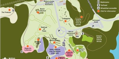 Mapa RBG Arboretum