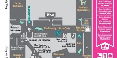 Mapa Royal Ontario Museum level 2