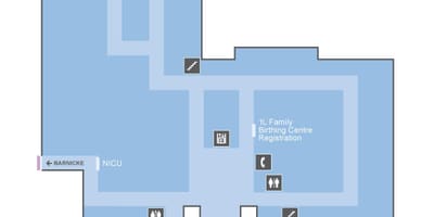 Mapa St. Joseph ' s Health centre Toronto OLM úroveň 1