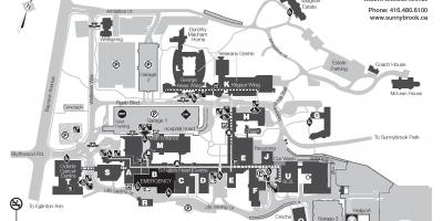 Mapa Sunnybrook Health sciences centre - SHSC