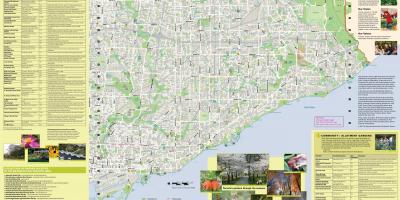 Mapa zahrady Toronto east